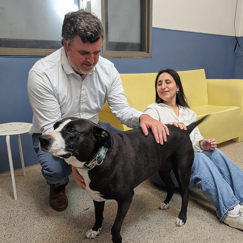 Team members meeting a dog at BARC